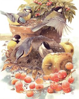 唯美水果鸟艺术油画