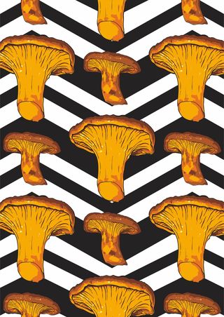 蘑菇香菇 几何图形