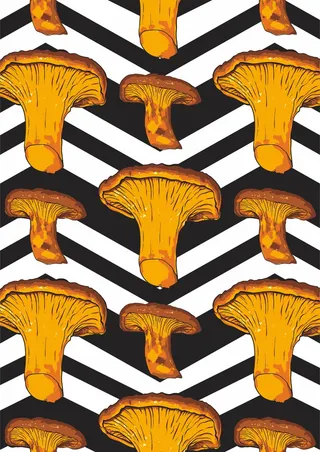 蘑菇香菇 几何图形