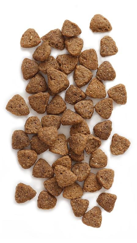狗粮 PNG免抠(448x791)