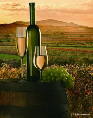 山林葡萄酒风景画油画