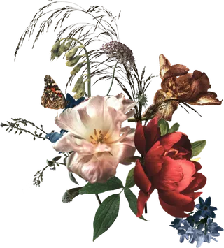 欧式优雅精致复古风格油画质感色彩手绘花卉植物树叶插画PNG素材