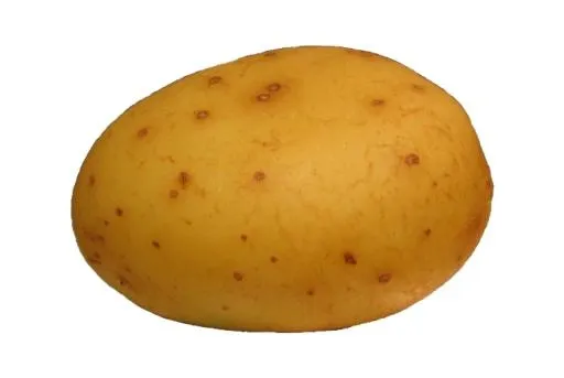 马铃薯 PNG免抠(500x335)