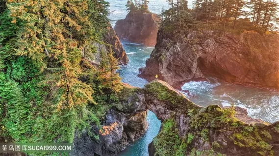 美丽唯美的山石林立海边风景 美丽唯美的山石林立海边风景