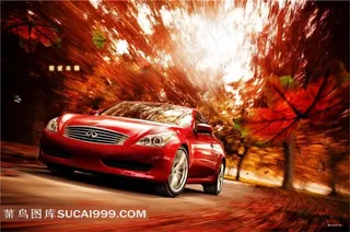 英菲尼迪动感红叶摄影图