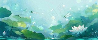 夏天湖面落叶荷花荷叶水面仰视，夏至小暑大暑