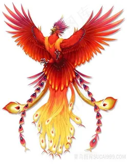 火红的凤凰PNG绘画图片