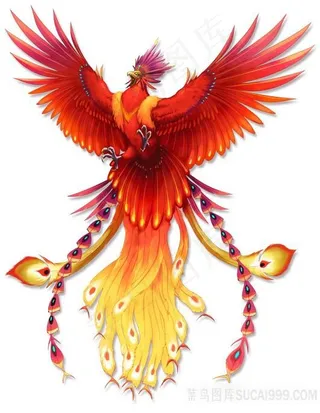 火红的凤凰PNG绘画图片