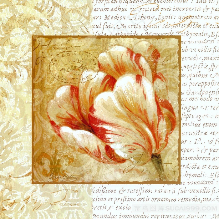 唯美复古油画花卉插画