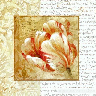 唯美复古油画花卉插画 唯美复古油画花卉插画