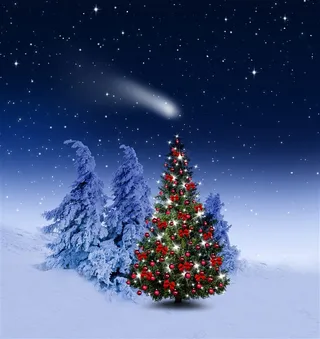 雪地上的彩色圣诞树