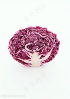 蔬菜新鲜的甘蓝