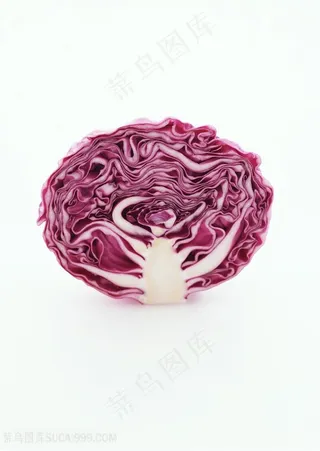 蔬菜新鲜的甘蓝