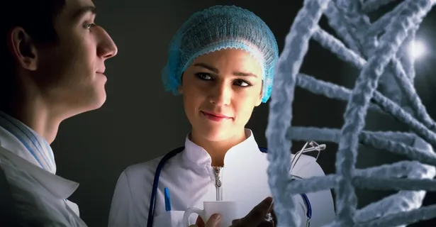 科研人员正在进行学术探讨高清图