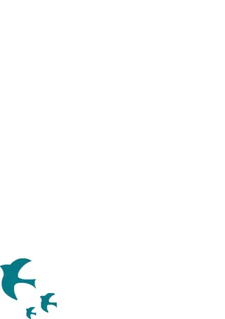 鸟元素_矢量鸟文化墙