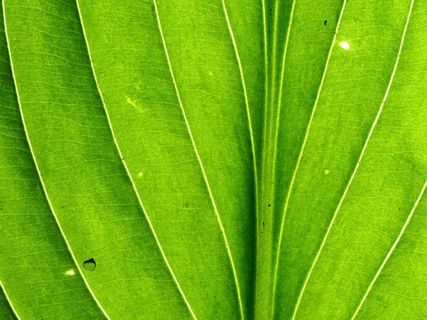 图片设计素材背景炫光背景