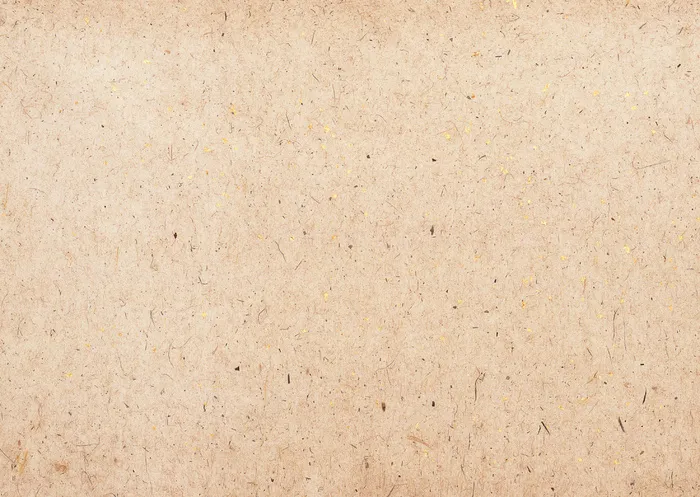 牛皮纸纹理