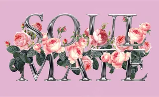 玫瑰花手绘插画