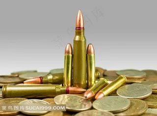 硬币上的子弹图片