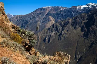 突兀的山壑图片