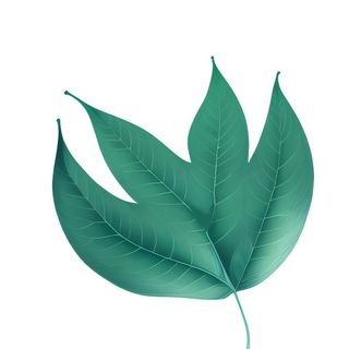 叶子绿叶免抠