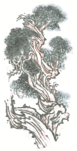 古木设计美图素材 古木设计美图素材