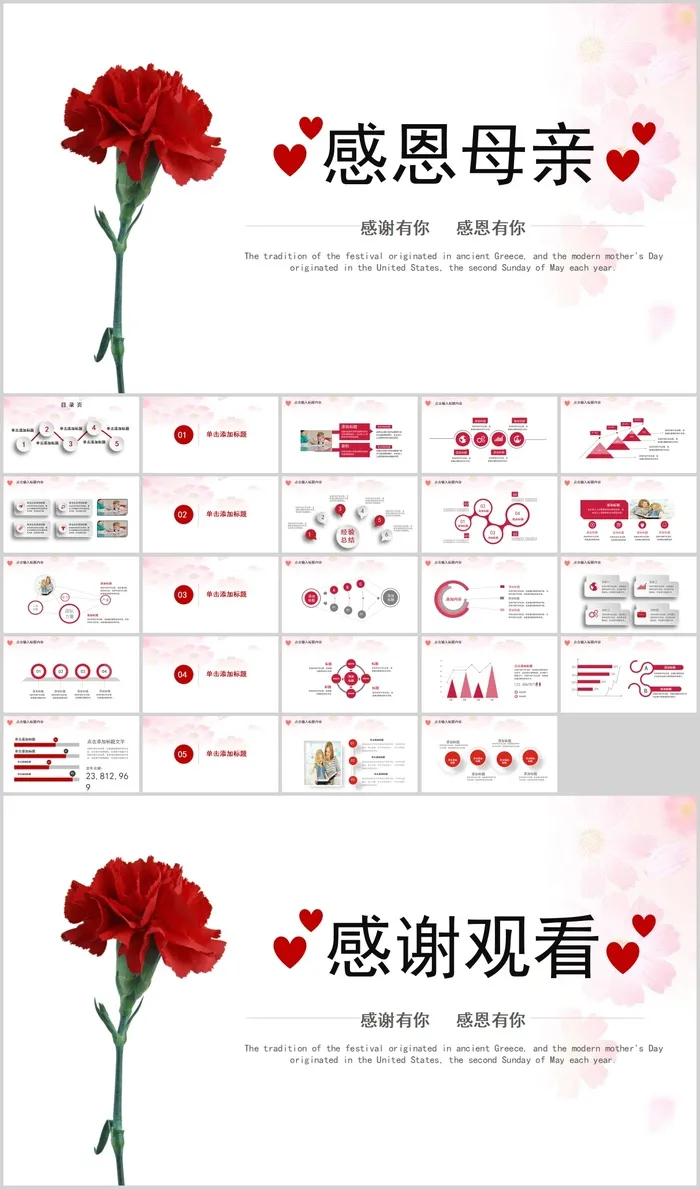 一束康乃馨背景的感恩母亲节PPT