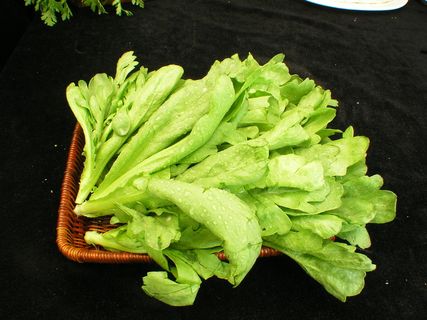 塘槁      塘槁