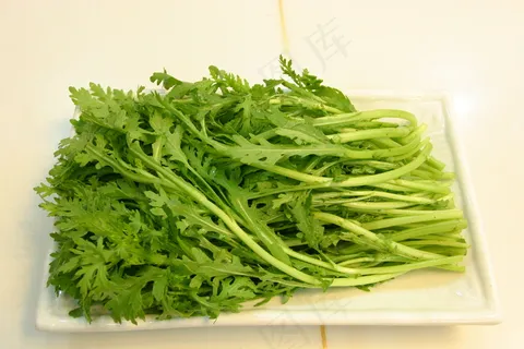 茼蒿     茼蒿