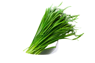 韭菜超市商品白底图免抠实物摄影png格式图片透明底