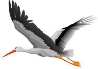 鹳 PNG免抠(200x142)