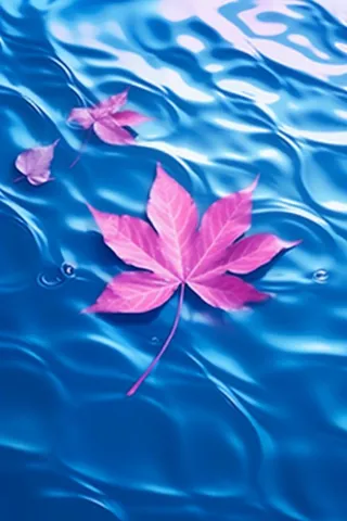 掉落水面的枫叶背景