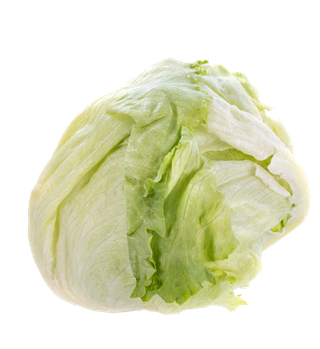 生菜 (27)超市商品白底图免抠实物摄影png格式图片透明底