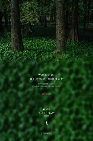 植树节3.12海报