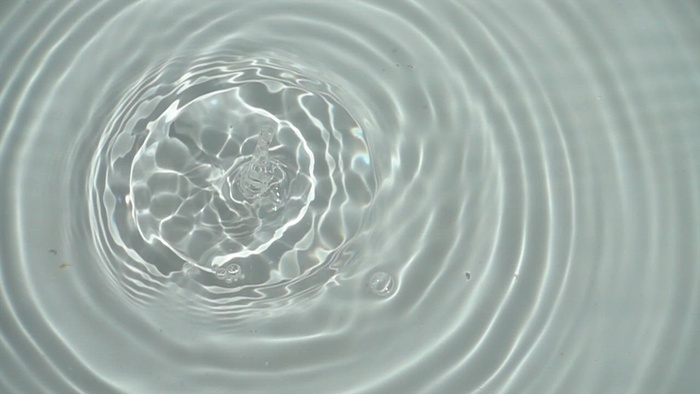 漂浮在水中的黄色柠檬