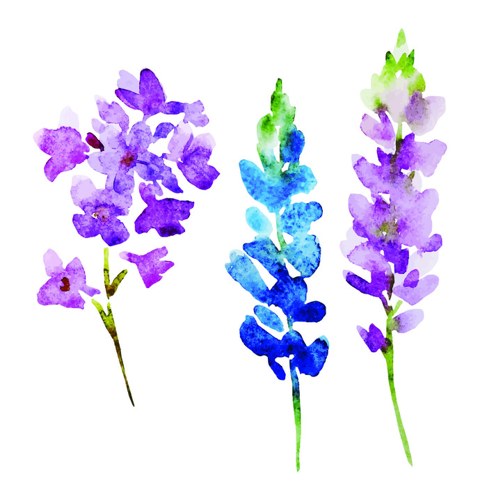 花朵花瓣花束失量背景图