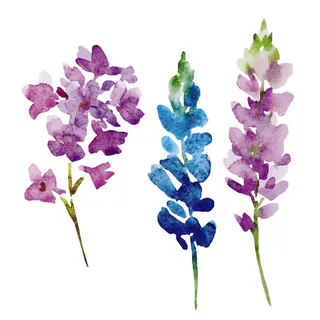 花朵花瓣花束失量背景图