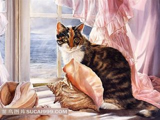 手绘可爱猫咪精美油画