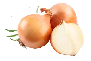 洋葱 (3)超市商品白底图免抠实物摄影png格式图片透明底