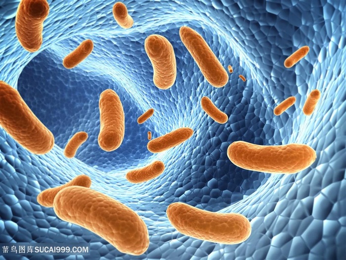 病毒细菌微生物高清