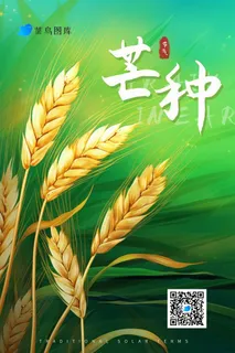 芒种节气金黄小麦海报
