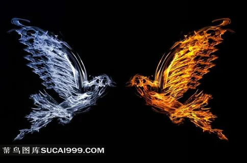 远古鸟类动物标本