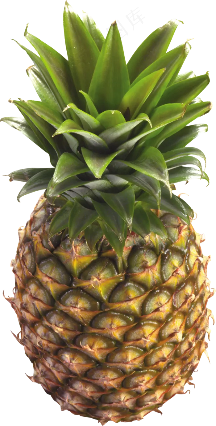 PNG 菠萝 