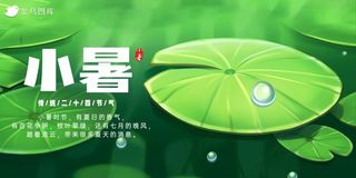 小暑节气荷叶绿色简约展板海报