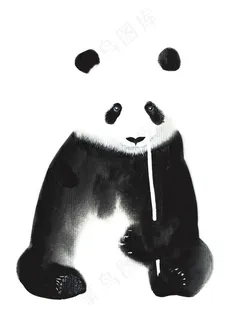 黑白熊猫高清图 黑白熊猫高清图