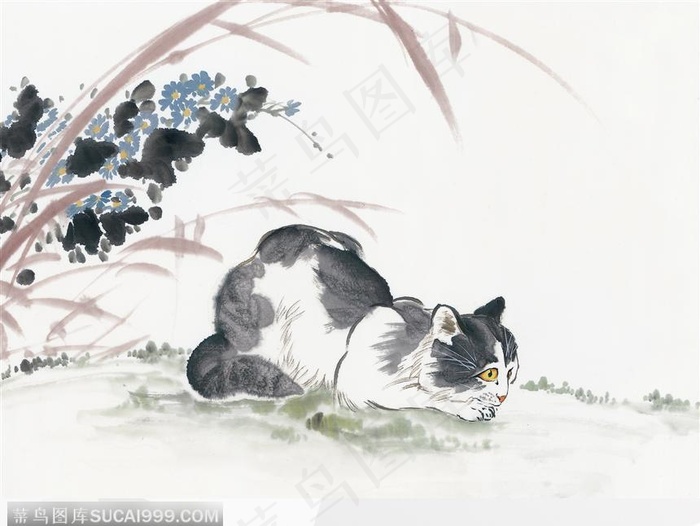 蹲着的小猫