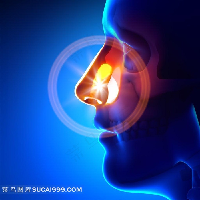 人体透视图素材