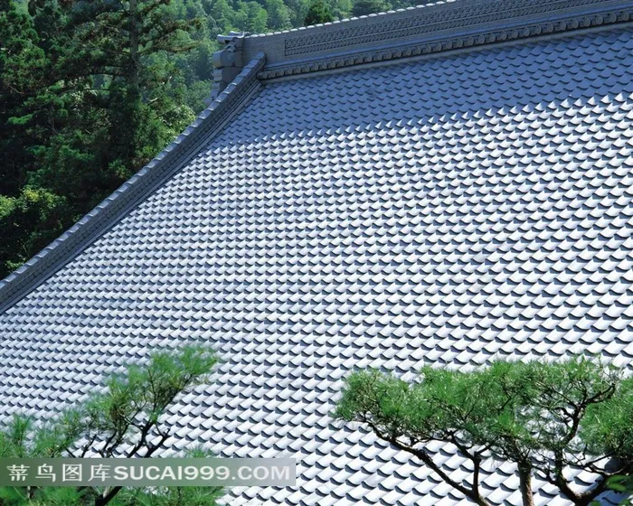 南方建筑房顶上的瓦