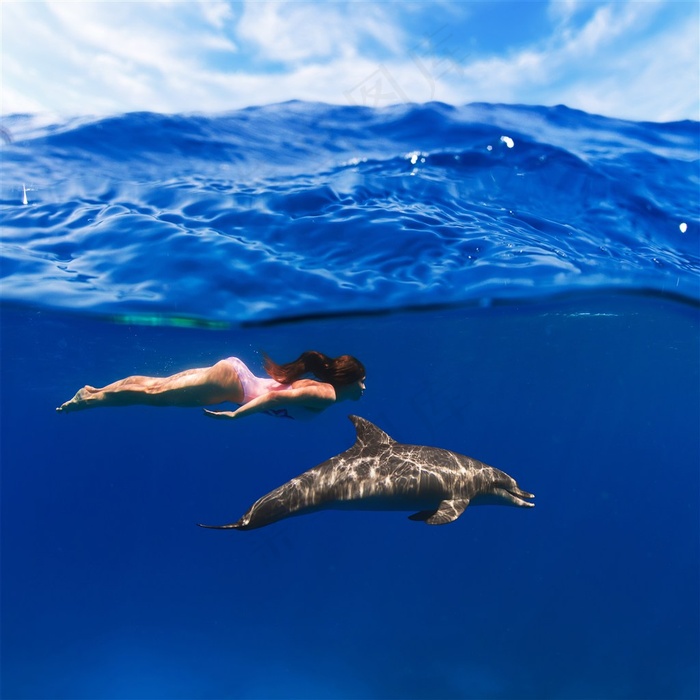 深海里美女与海豚图片