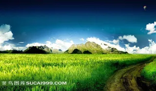 美丽的草原蓝天白云草原图片